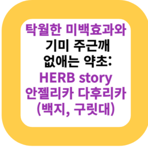 탁월한 미백효과와 기미 주근깨 없애는 약초: HERB story 안젤리카 다후리카(백지, 구릿대)