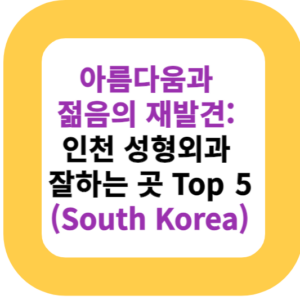 아름다움과 젊음의 재발견: 인천 성형외과 잘하는 곳 Top 5(South Korea)