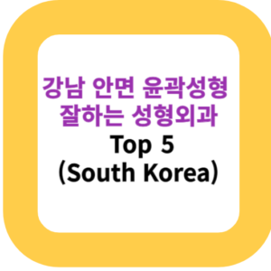 강남 안면 윤곽성형 잘하는 성형외과 Top 5(South Korea)