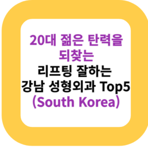 20대 젊은 탄력을 되찾는 리프팅 잘하는 강남 성형외과 Top5(South Korea)
