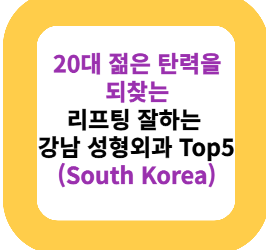 20대 젊은 탄력을 되찾는 리프팅 잘하는 강남 성형외과 Top5(South Korea)
