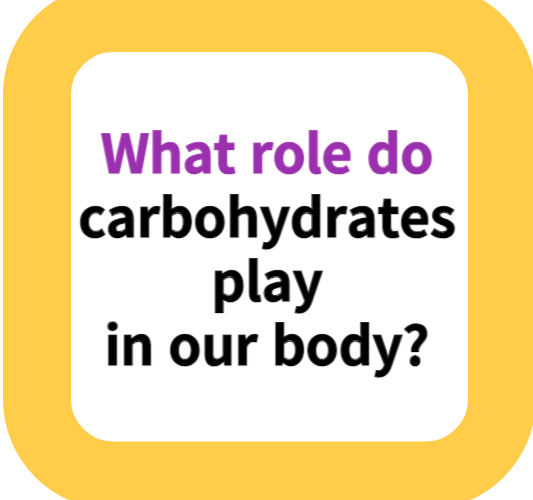 What role do carbohydrates play in our body?