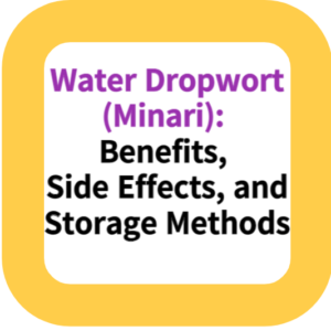 Water Dropwort (Minari): Benefits, Side Effects, and Storage Methods