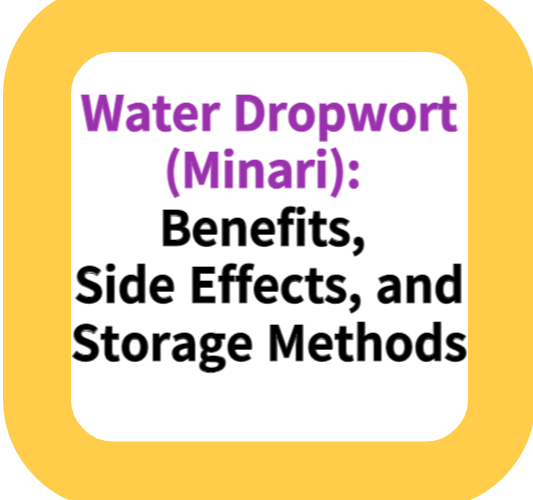 Water Dropwort (Minari): Benefits, Side Effects, and Storage Methods