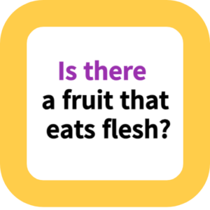 Is there a fruit that eats flesh?