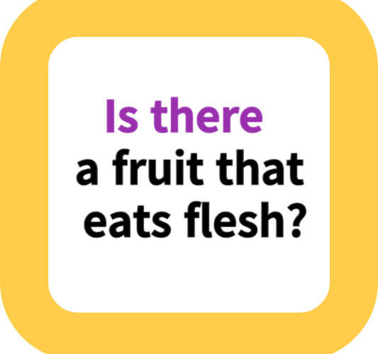 Is there a fruit that eats flesh?