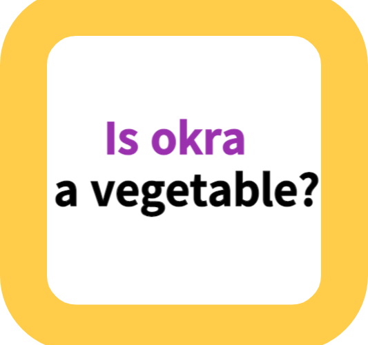 Is okra a vegetable?