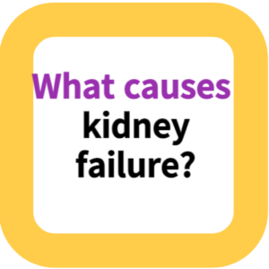 What causes kidney failure?