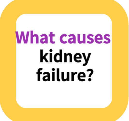 What causes kidney failure?