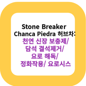 Stone Breaker Chanca Piedra 허브차: 천연 신장 보충제/ 담석 결석제거/ 요로 해독/ 정화작용/ 요로시스