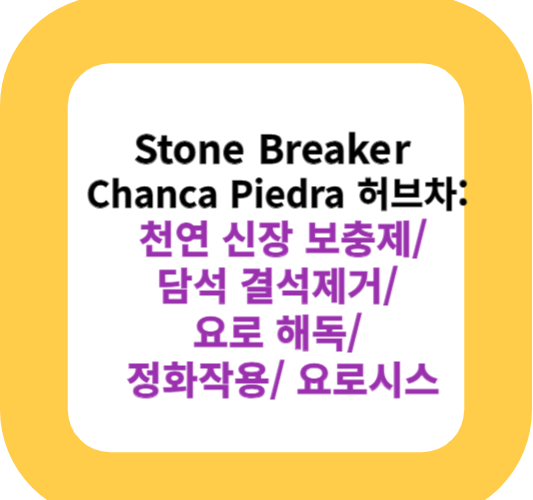 Stone Breaker Chanca Piedra 허브차: 천연 신장 보충제/ 담석 결석제거/ 요로 해독/ 정화작용/ 요로시스