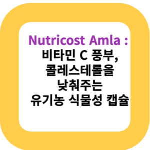Nutricost Amla :  비타민 C 풍부, 콜레스테롤을 낮춰주는 유기농 식물성 캡슐