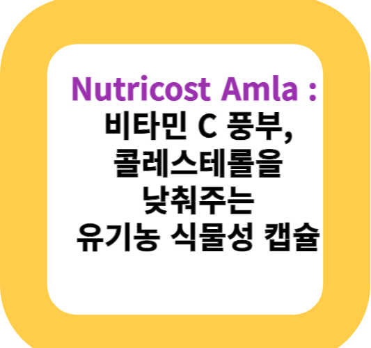 Nutricost Amla : 비타민 C 풍부, 콜레스테롤을 낮춰주는 유기농 식물성 캡슐