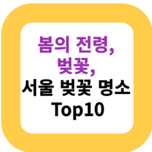 봄의 전령, 벚꽃, 서울 벚꽃 명소 Top10