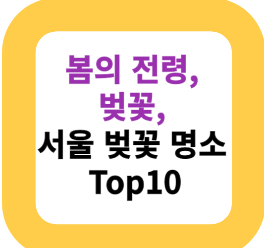 봄의 전령, 벚꽃, 서울 벚꽃 명소 Top10