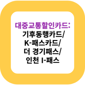 대중교통할인카드: 기후동행카드/K-패스카드/더 경기패스/인천 I-패스